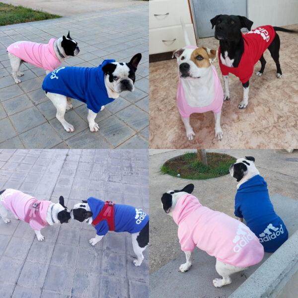 Warm Dog Hoodie for Winter - Image 3