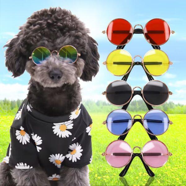 Dog & Cat Sunglasses - Pet Eye Wear - Image 6