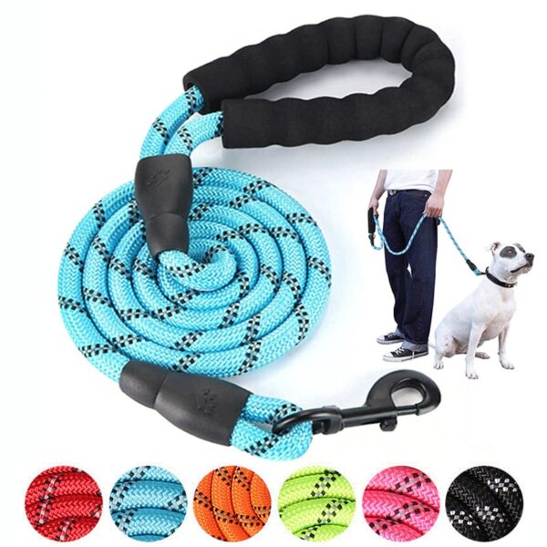 Reflective Dog Leash - Nylon Harness - 150/200/300cm - Labrador, French Bulldog